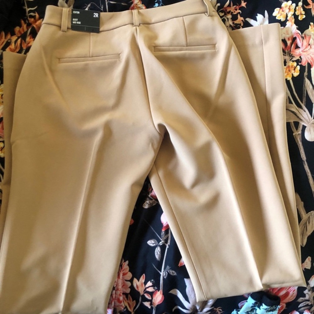 Express camel editor pants